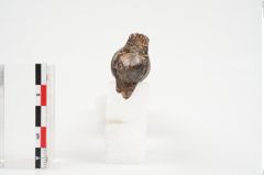 Foto von Eisendolchmesser (NHMW-PRAE-025986)